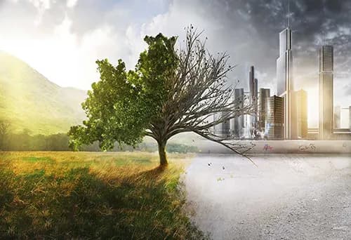 environment-category-image