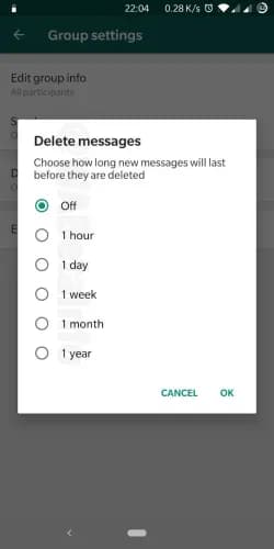 WhatsApp Will Let Messages Auto-Delete After Being Seen - image